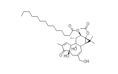 12-O-tetradecanoyl phorbol-13-acetate