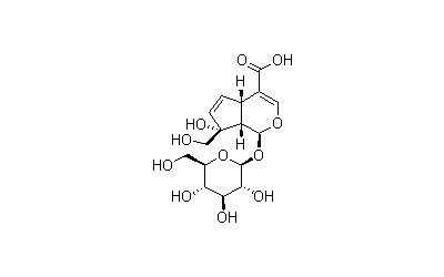 Monotropein