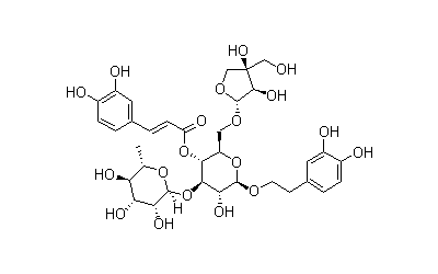 Forsythoside B