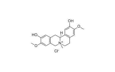 Phellodendrine chloride