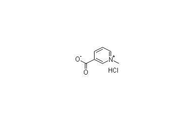 Trigonelline Hydrochloride