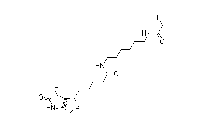 Iodoacetyl-LC-Biotin