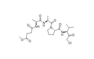 Elastase Inhibitor, SPCK