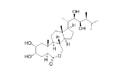 Brassinolide