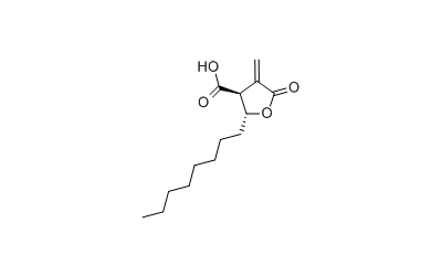 C-75 Trans