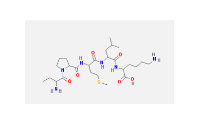 Bax inhibitor peptide V5