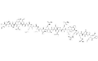 Calcineurin Autoinhibitory Peptide
