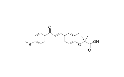 Elafibranor