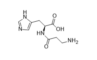 L-Carnosine