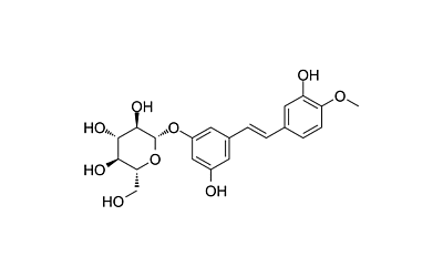 Rhapontin