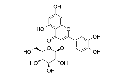 Isoquercitrin