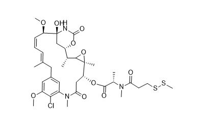 DM1-Sme