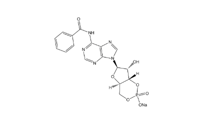 6-Bnz-cAMP sodium salt