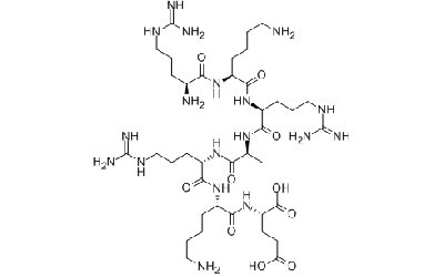 cGMP Dependent Kinase Inhibitor Peptid