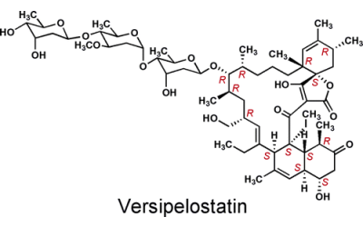 Versipelostatin