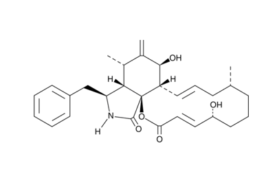 Cytochalasin B