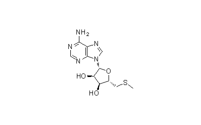 Methylthioadenosine
