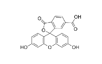 6-Carboxyfluorescein
