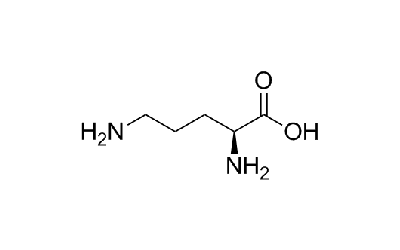 L-Ornithine