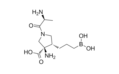 Numidargistat (CB-1158)