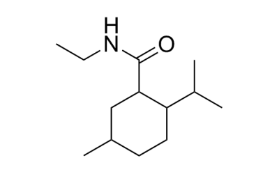 WS 3