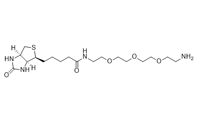 Biotin-PEG3-amine