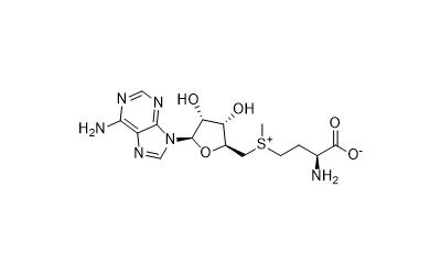 S-Adenosyl-L-methionine (Ademetionine)