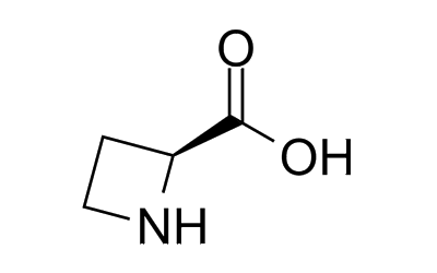 L-Azetidine-2-carboxylic acid