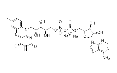 Flavin Adenine Dinucleotide Disodium