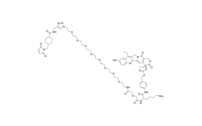 CL2A-SN-38