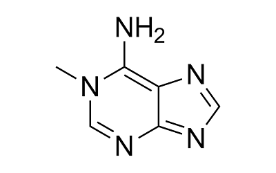 1-Methyladenine
