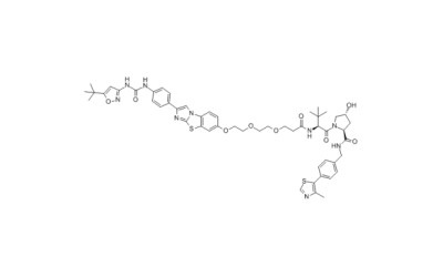 PROTAC FLT-3 degrader 1