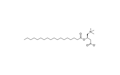 Stearoylcarnitine