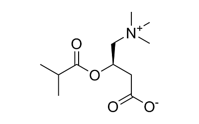 Isobutyryl-L-carnitine