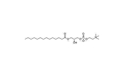 LysoPC (14:0/0:0)