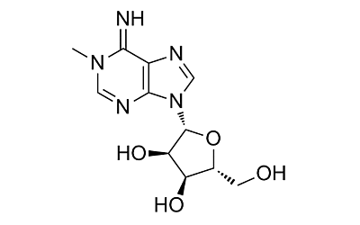 1-Methyladenosine