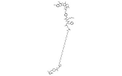 CL2-SN-38