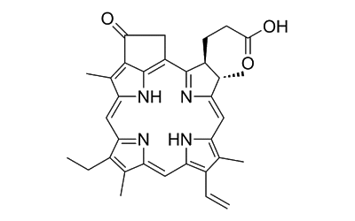 Pyropheophorbide-a