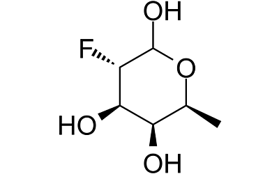 SGN-2FF