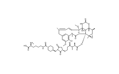 Lys-SMCC-DM1
