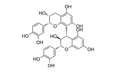 Procyanidol B4
