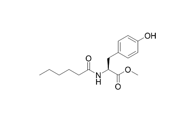 MHP