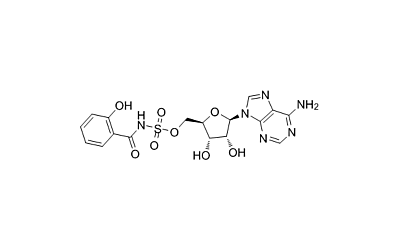 Salicyl-AMS