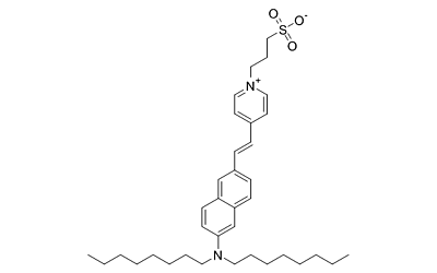 Di-8-ANEPPS