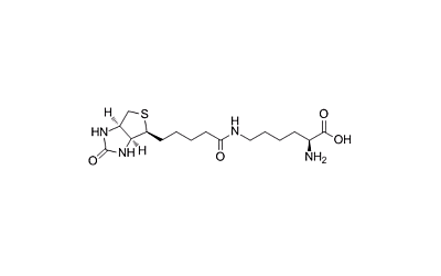 Biocytin