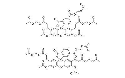 BCECF-AM