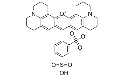 Texas Red (Sulforhodamine 101)