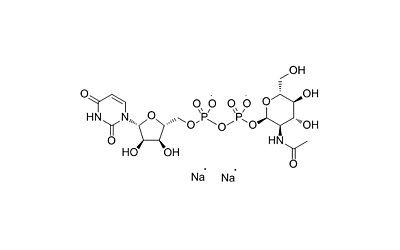 UDP-GlcNAc Disodium Salt