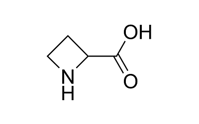 Azetidine-2-carboxylic acid