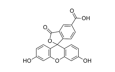 5-FAM